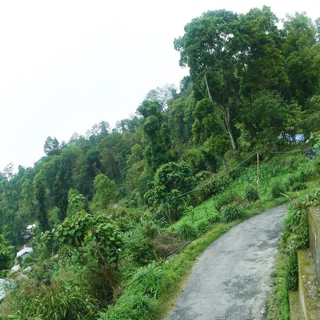 Wooden cottage with garden at Fikkalay Harmony Homestay, Kalimpong